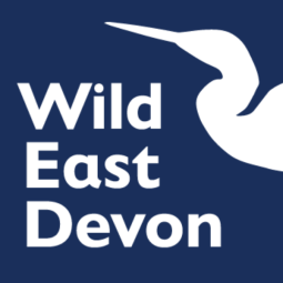 Wild East Devon Logo
