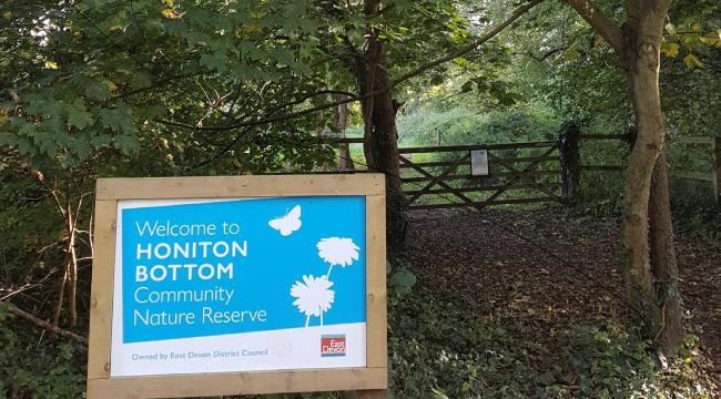 Honiton Bottom Community Nature Reserve