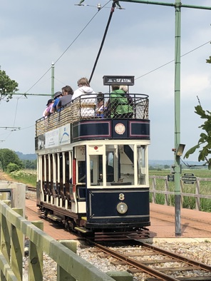 tram parked at the wetlands