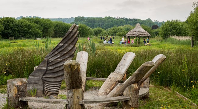 Seating area at Seaton Wetlands