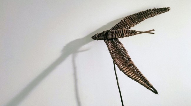Exciting New Partnership with Earth Rights Collective to Deliver Willow Workshops