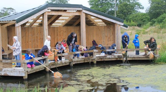 Pond dipping