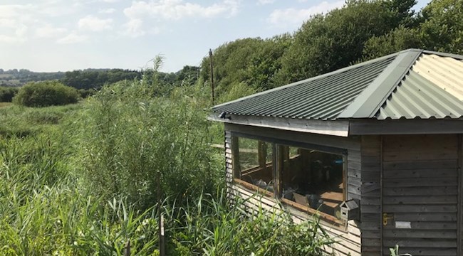 Reed Base at Seaton Wetlands