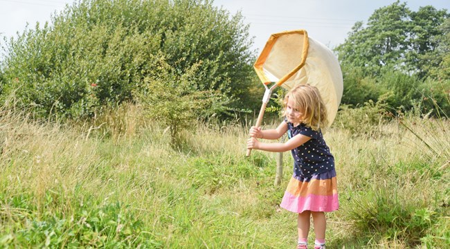 A small child holding a net trying to catch bugs