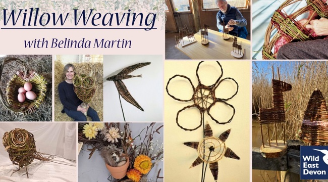 Discover the Art of Willow Weaving at Seaton Wetlands