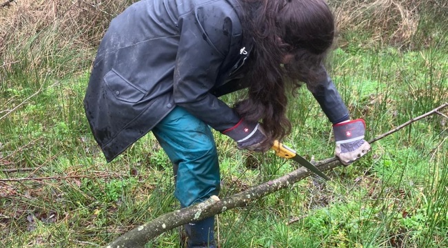 A Week in the Life of Our Work Experience Student