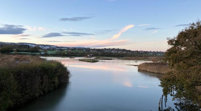 View over Seaton Wetlands
