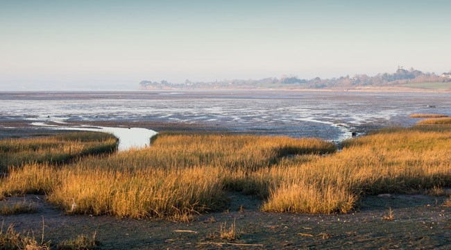 Exmouth Local Nature Reserve