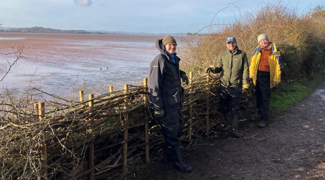 Volunteers Hedgelaying