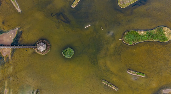 Seaton Wetlands (Kyle Baker(